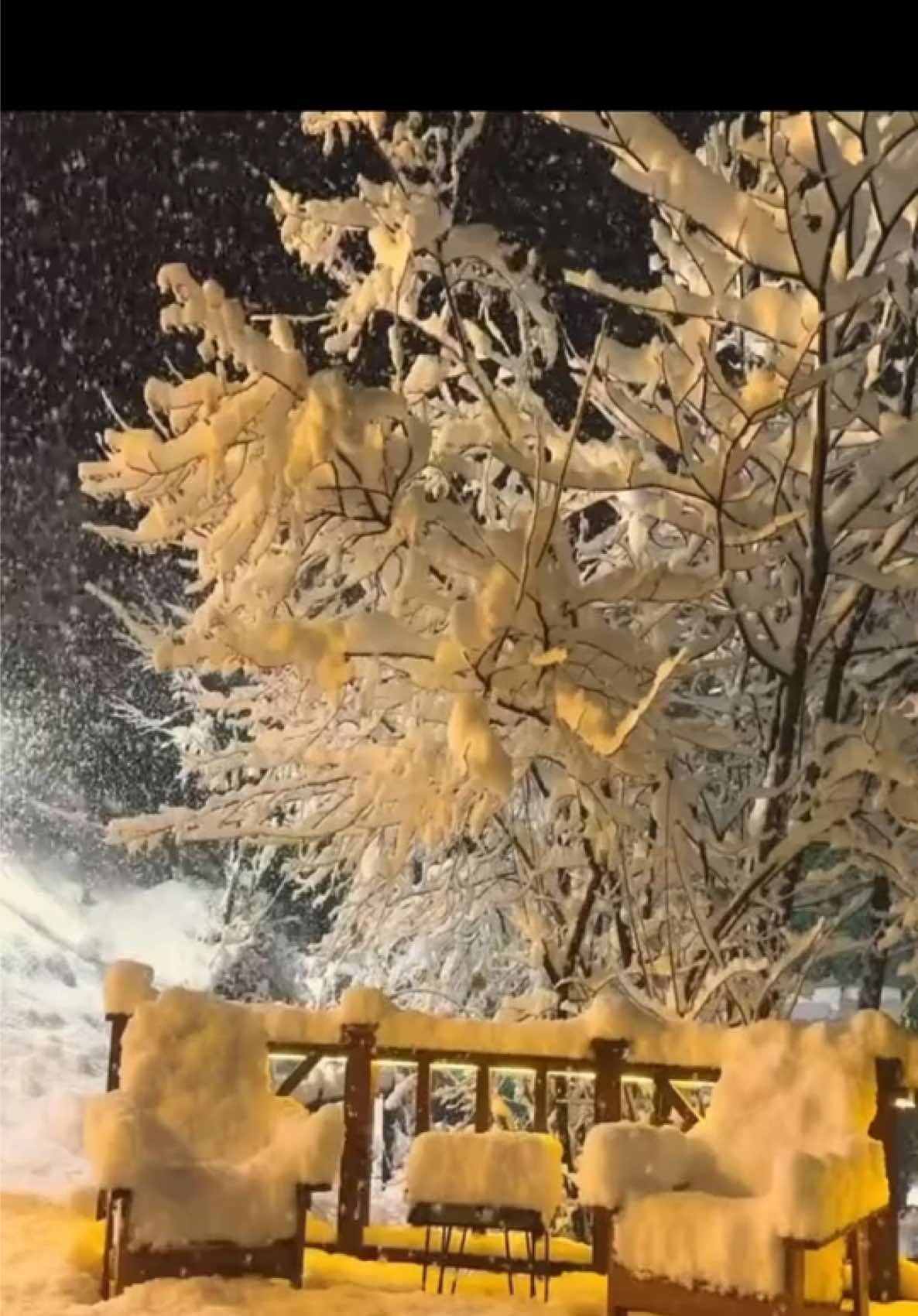 ربي ابعد عني  من هان عليه  💕آن يضر قلبي 💕 صباحكم 