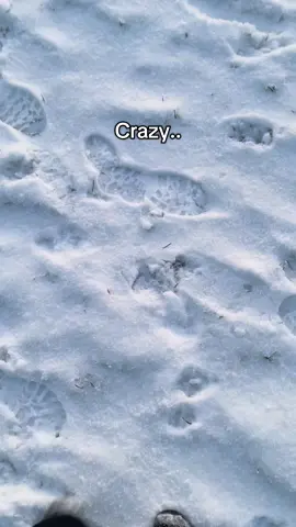Snow is crazy #fyp #trending #relatable #snow #snowman #beauty #scenery #Vlog #vlogs #wintervibes 