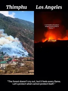 Prevent Forest Fire⚠️ ~May every soul lost in the past forest fires rest in peace 🕊️ #preventforestfires #bhutan #losangelesforestfire  #thimphuforestfire #california 