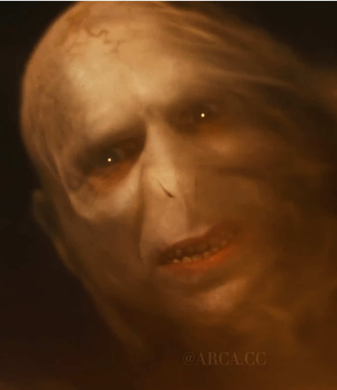 The beauty of Harry Potter | Fake everything | #harrypotter #harrypottertiktok #harrypotteredit #voldemort #dumbledore #snape #thebeautyof #edit #fyp #foru  |