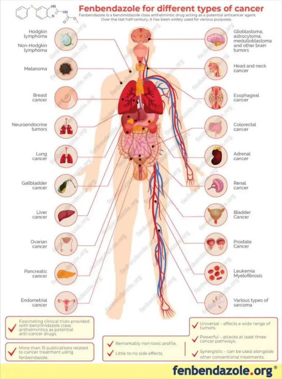 Anyone hear Mel Gibson on Joe Rogan's show?  I saw this on X and thought I'd share. Do your research - there's a lot that the medical system is hiding.   Been seeing a lot of testimonials on it combined with Ivermectin