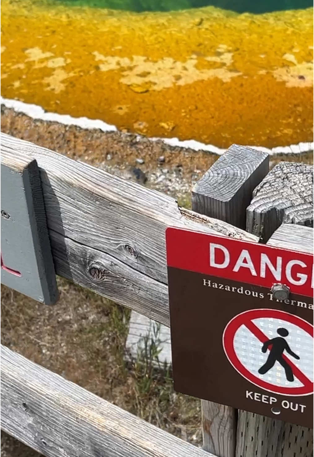Inside Yellowstone National Park - America's Vibrant Supervolcano