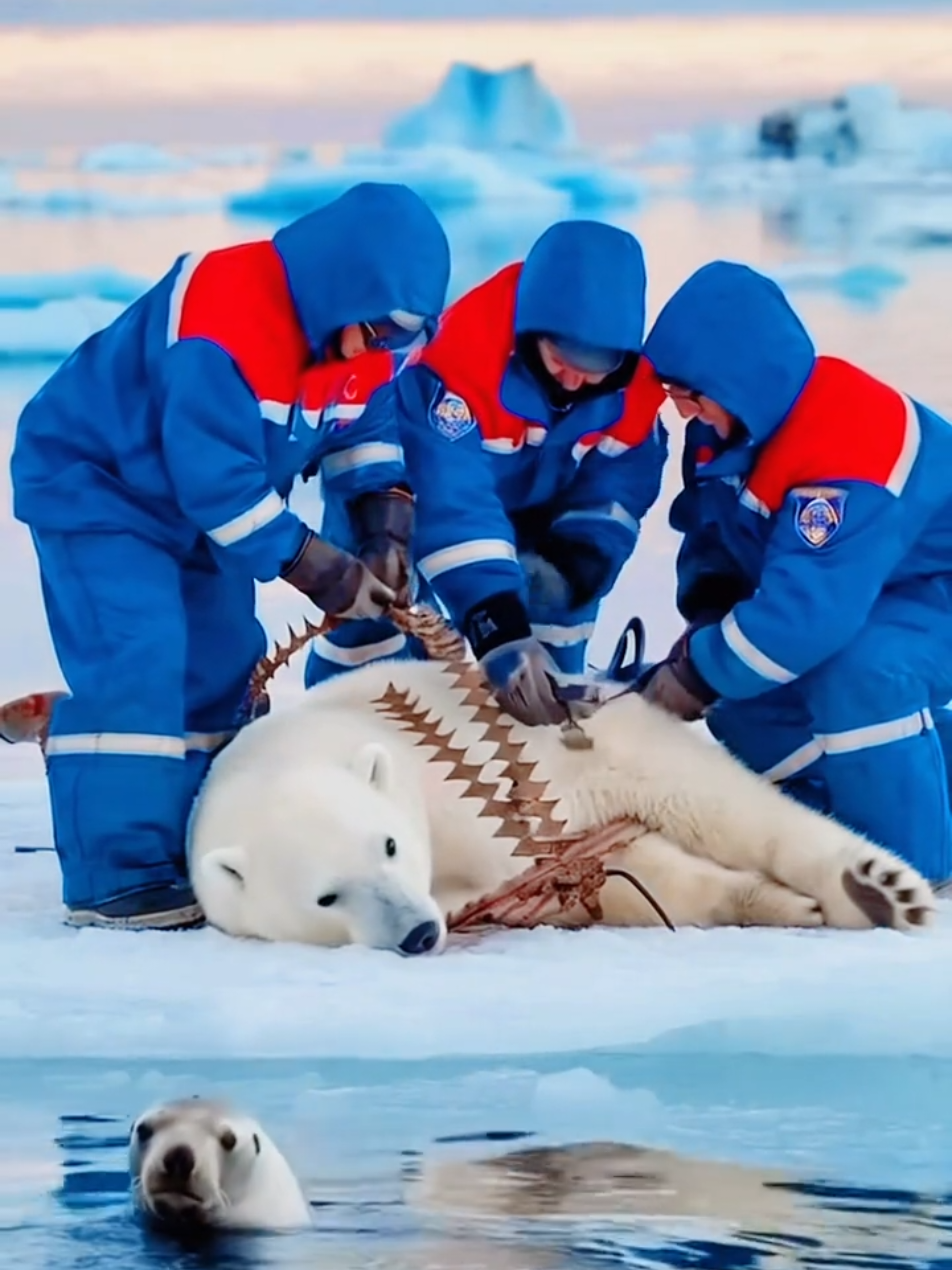 rescue team amazing working 