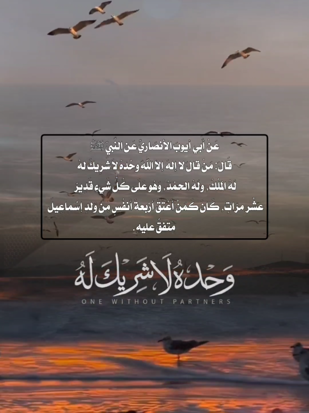 ذكر عظيم#لااله_الا_اللە #لااله_الا_انت_سبحانك_اني_كنت_من_ظالمين #ذكر #اذكار #كنز #fyp #foryou #foryoupage# #fypageシ♡ #تصاميم_ghym3377 #صلوا_على_رسول_الله #تصاميم_ghym3377 