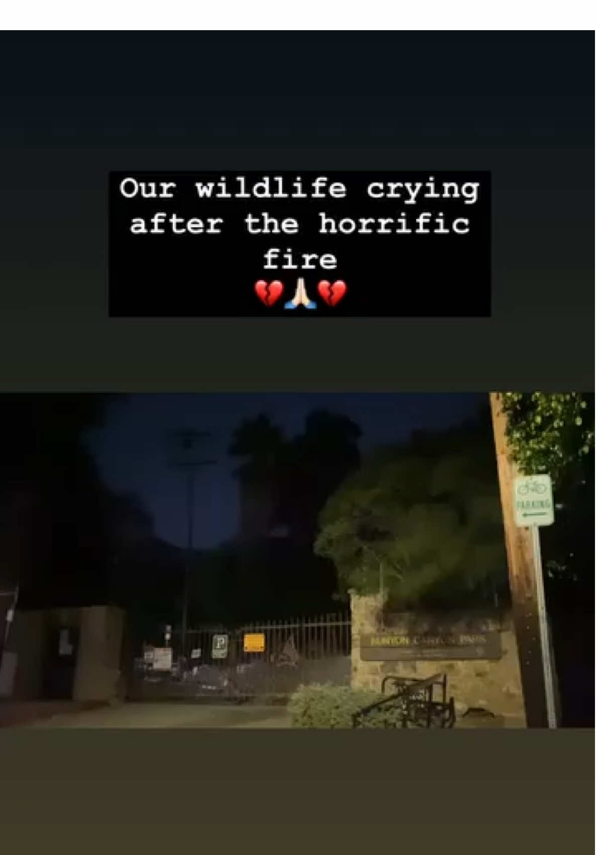 It breaks my heart  #lafire #pasadenafire #pacificpalisades #santamonicafire #smfire #malibufire #california #losangeles #downtownpacificpalisade #pacificpalisadesvillage #pacificpalisade #eatonfire #altadena #pasadena #palisadesfire 