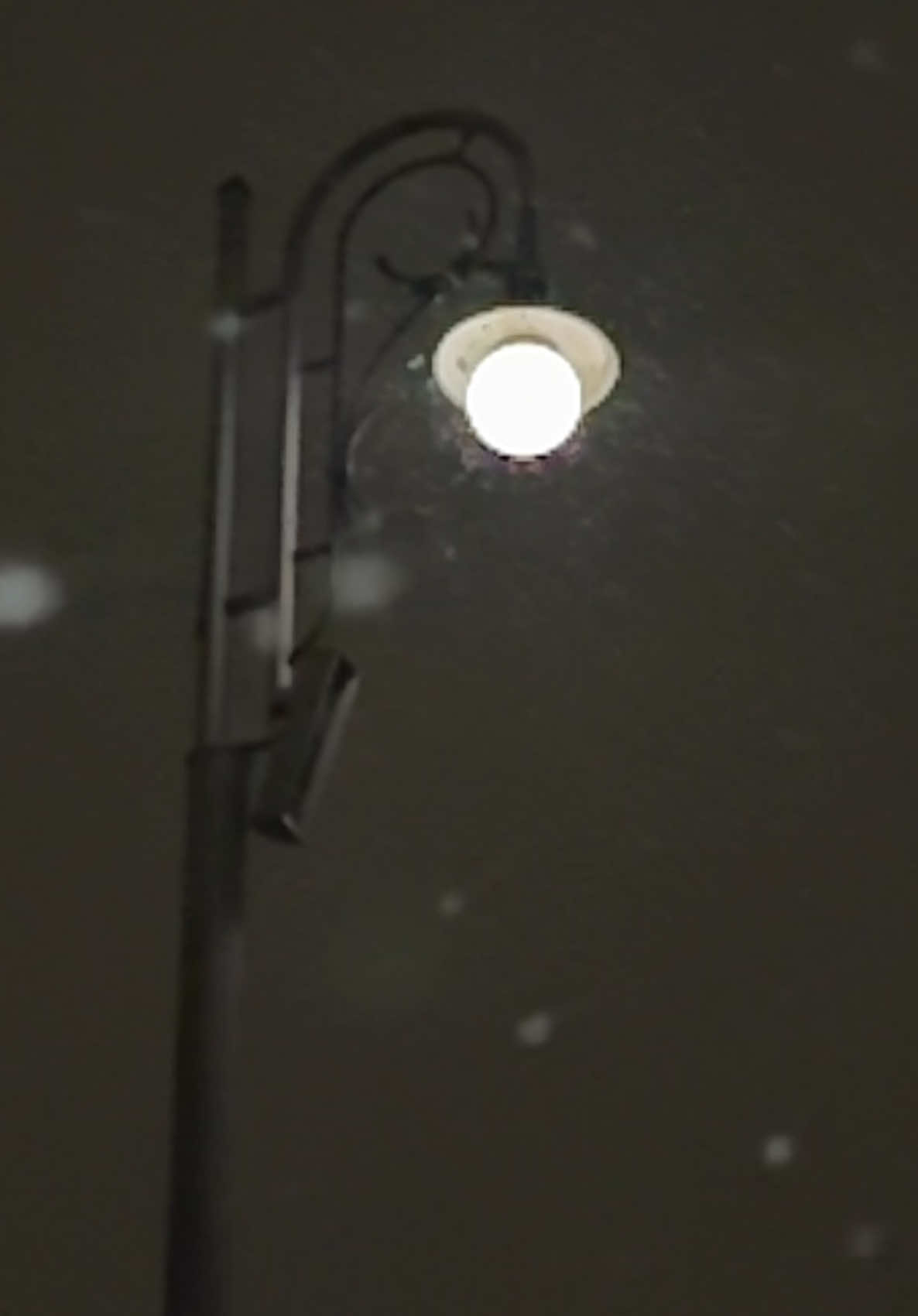 Let it snow❄️