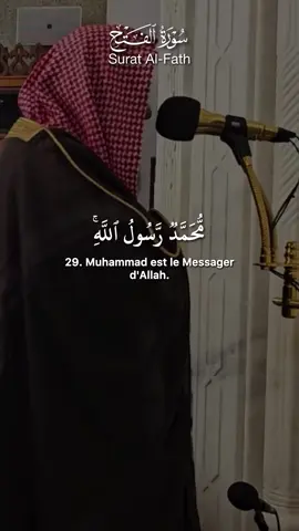 🎙️Suleymān Ar-Ruhayli  #quran #القران_الكريم #القرآن_الكريم #quran_alkarim #قرآن #قران #coran #cejour #سليمان_الرحيلي #شيخ_سليمان_رحيلي #sulaiman_arruhaily #alfath #surah_al_fath #سورة_الفتح #الرحيلي #shaykhsulaymanalruhayli 