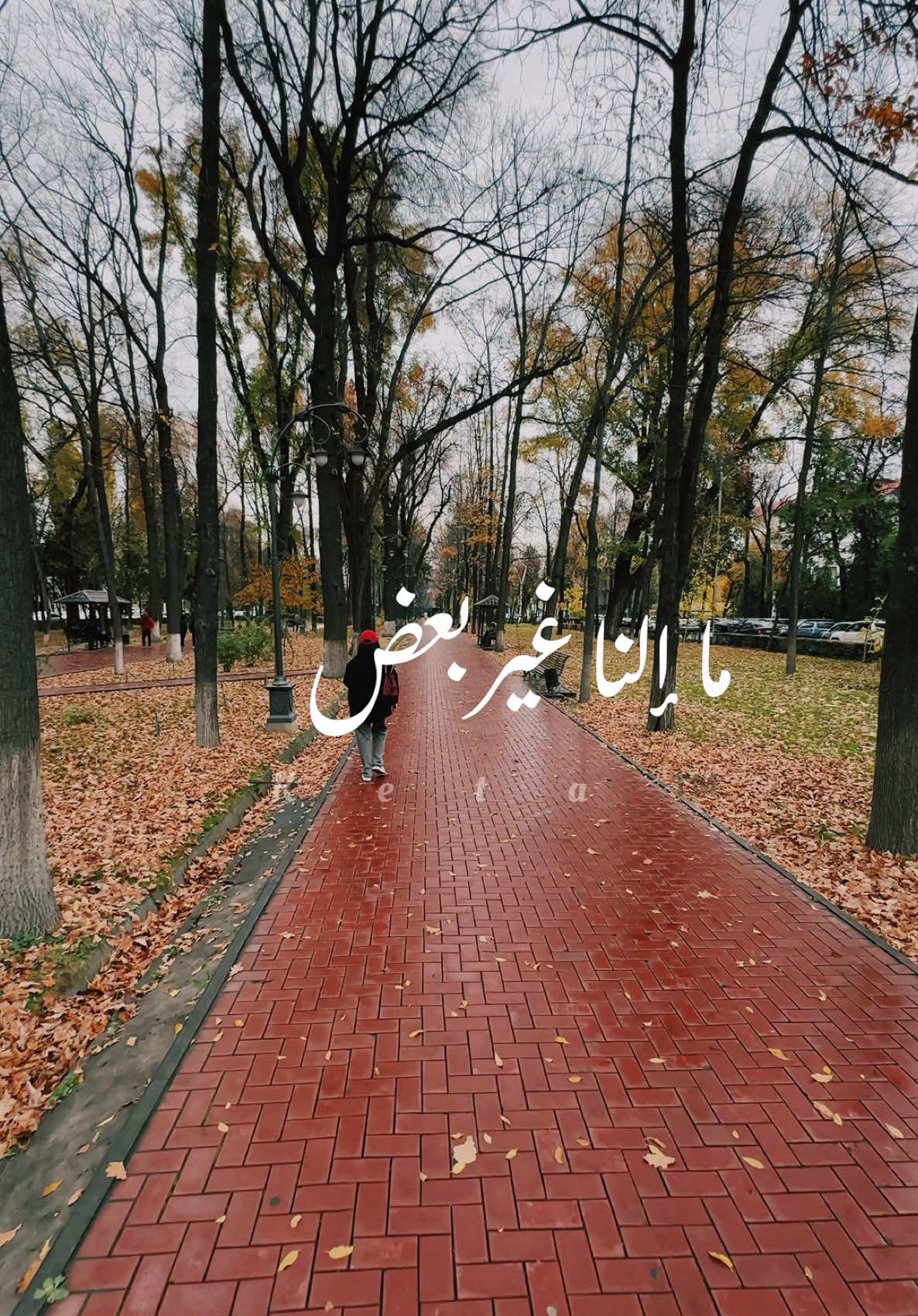 أنا معك 🥰❤️💯🥹 #fyp #fypシ #tiktok #wheretoeat #wheretovisit #tiktokviral #foryou #trendingreels #explore #keta #ketagraphy #quotes