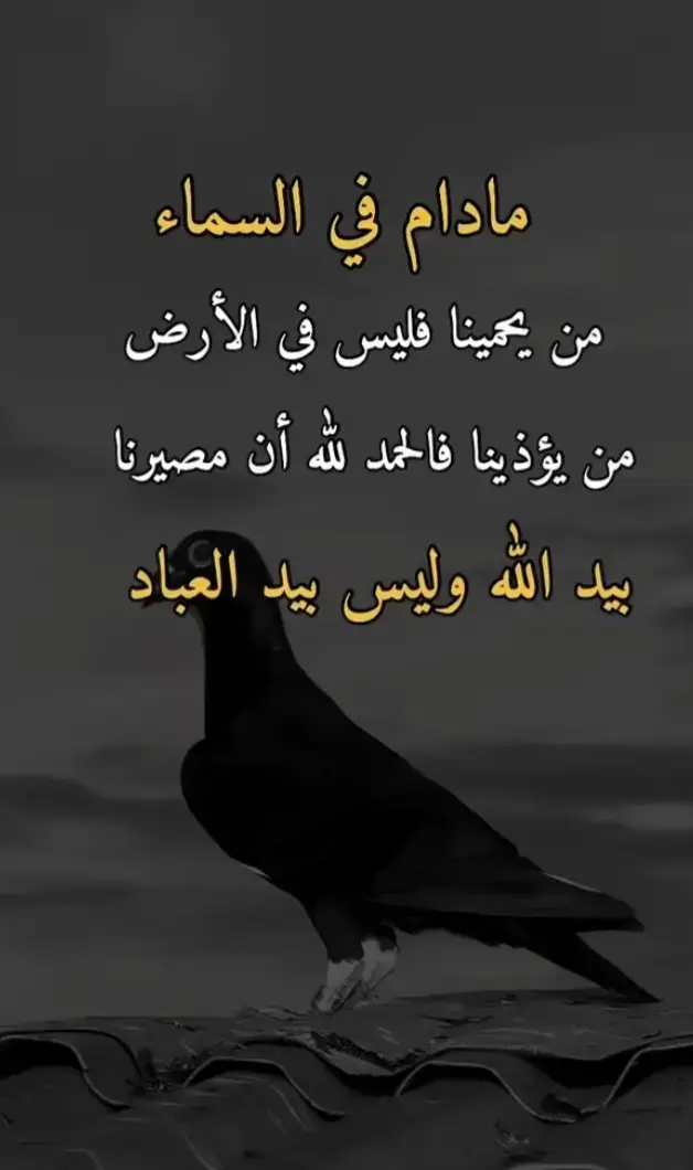 #الله هو السند الدائم ف الحمدلله دائماً وأبدا 🤍🤍🤍