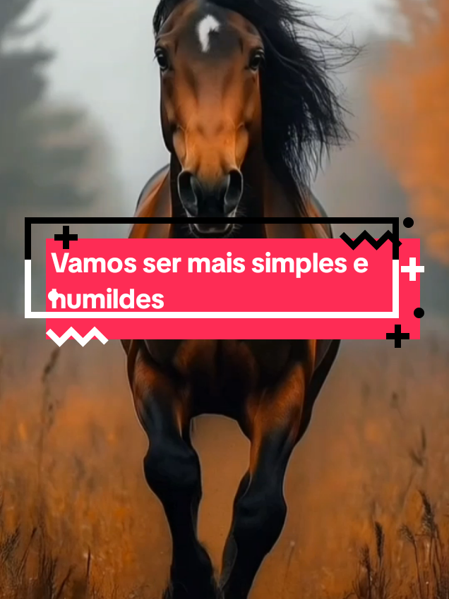 vamos ser mais simples e humildes #reflexão #simplicidade #humildade 