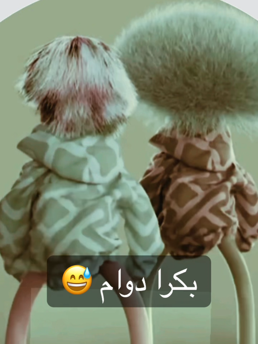 لا اشوف احد سهران 😁😎