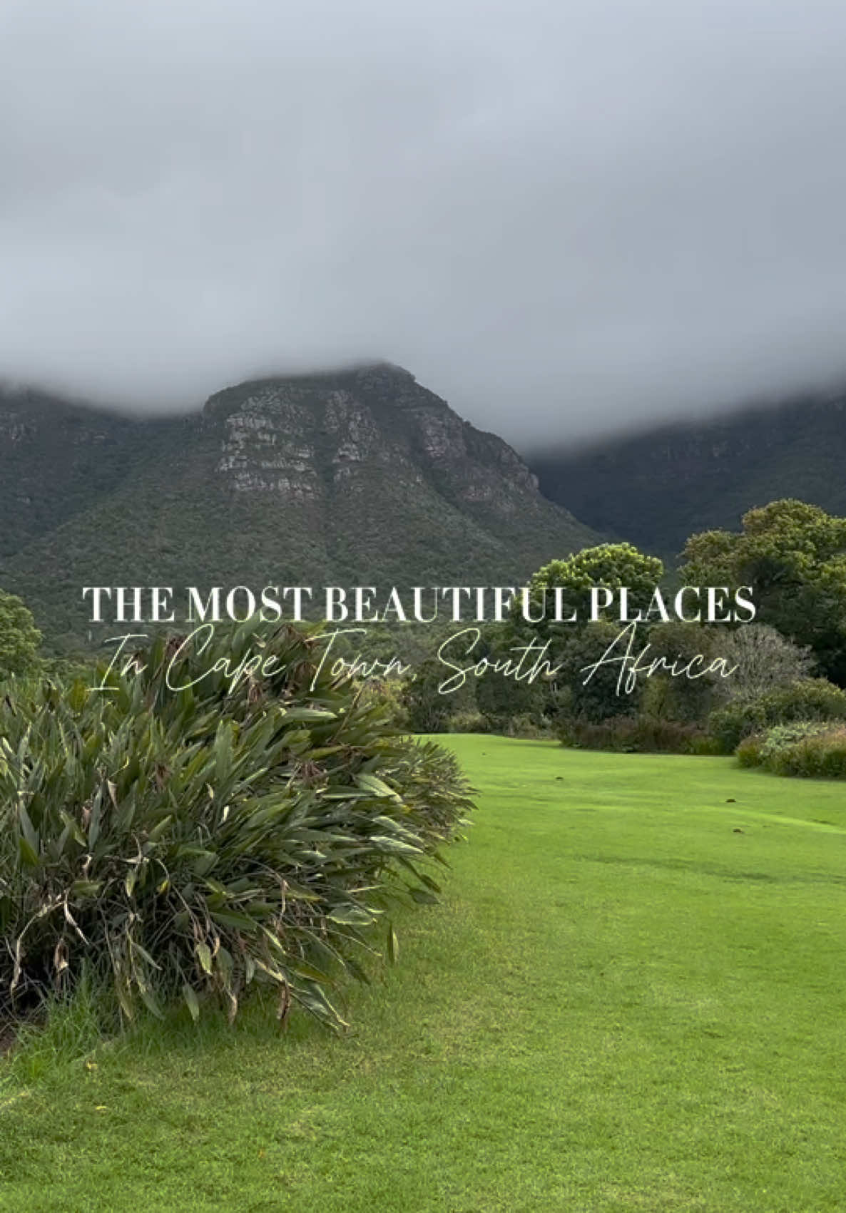 I loved this garden so much I went twice!! It was breathtaking! #travelbucketlist #nature #capetownsouthafrica #capetown #thingstodoincapetown #beautifulplaces #beautifulplacescapetown #capetownfood #naturelandscapes #natureaesthetics #naturewalks #naturevideography #naturevibeswithmusiccompilation #naturesoundvibes #capetownnature #botanicalgardensincapetown #botanicalgardens #unescoworldheritagesite #kirstenboschnationalbotanicalgarde #bouldersbeachsouthafrica #capetownhiking #capetownnature #grwmcapetown  @National Geographic #natgeo #tiktokpartner #luxurytravel #travelcontentcreator #luxurytravelcontentcreator #prettiestflowers #whattodoincapetown #wheretostayincapetown #digitalnomad  #CapCut 
