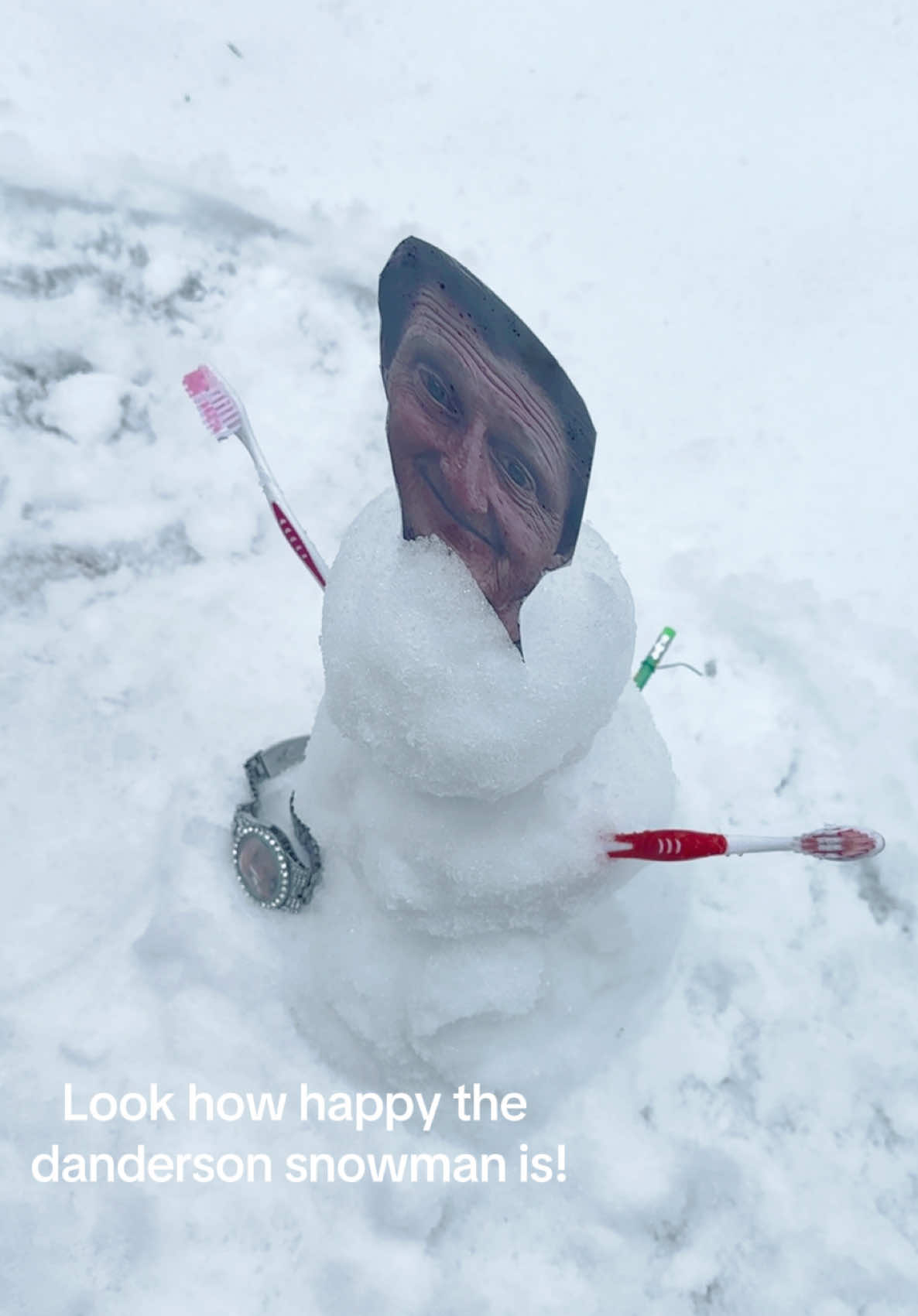 The real deal #dandersonsnowman was created today, January 11th. It was born in the yard of #jarson where we hold #larsonrituals and other #larsonian activities! #daniellarson would be so proud of the work we have been doing for him! #lolcow #dandersonbustdown #danderson #pardonlarson #freelarson #crashoutforlarson #snow #toothbrush 