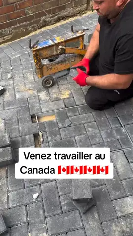 Venez travailler au Canada 🇨🇦🇨🇦🇨🇦 Numéro dans notre bio profil 🇨🇦🇨🇦