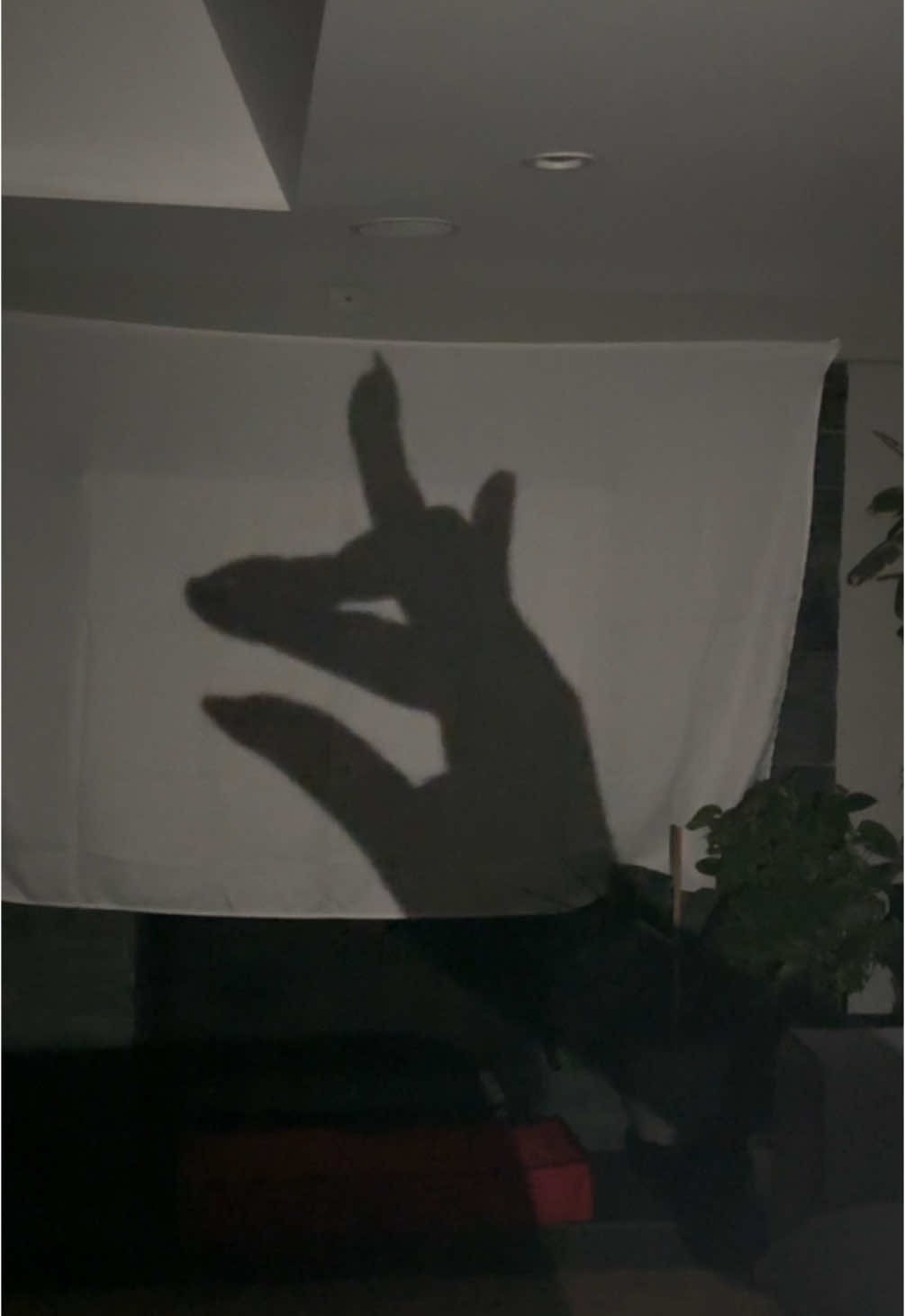 puppet shows but you gotta keep it gangster