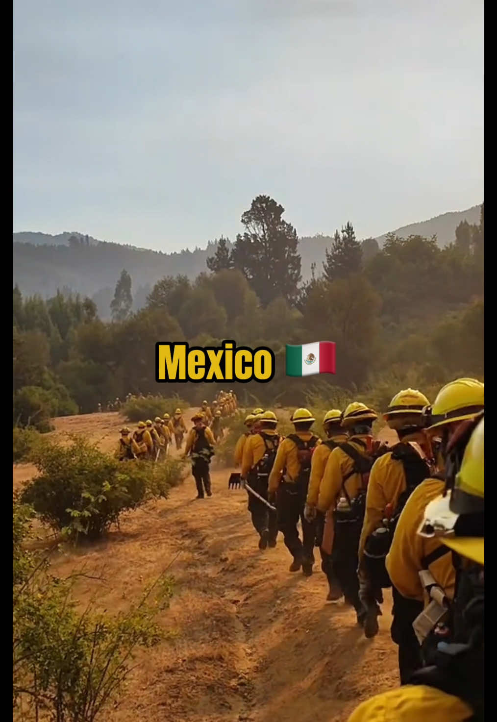 Not alone 🤝 #losangeles #wildfire #firefighter #socal #norcal #california #bayarea #lafire #heroes #inspiration #mexico #canada 