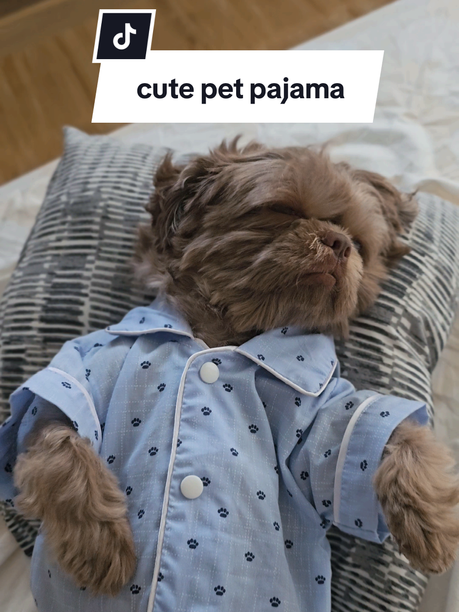 sarap ng tulog ni don chico 😍 #petclothes #dogclothes #petpajama #dogpajama #pajamafordogs #dogsleepwear #petsleepwear #dogsoftiktok #shihtzusoftiktok 