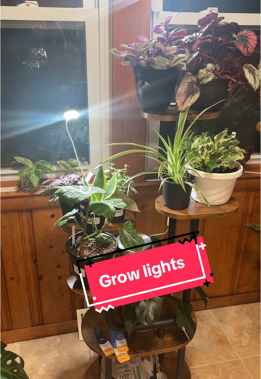 Grow lights for plants. #plants #planting #houseplants #growlights #spotlightfinds 