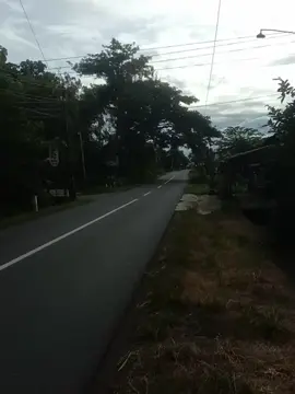 DUTA SAYUR TRANS CORONG ATAS BASURI😍
