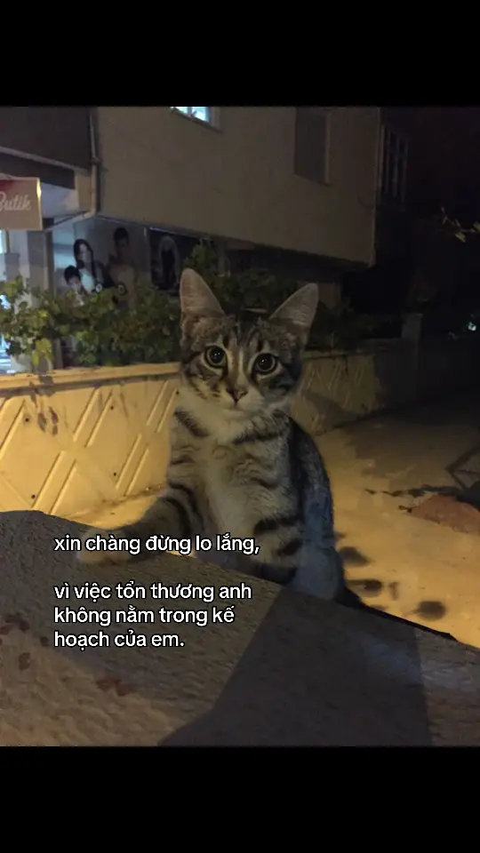 đừng lo nheee