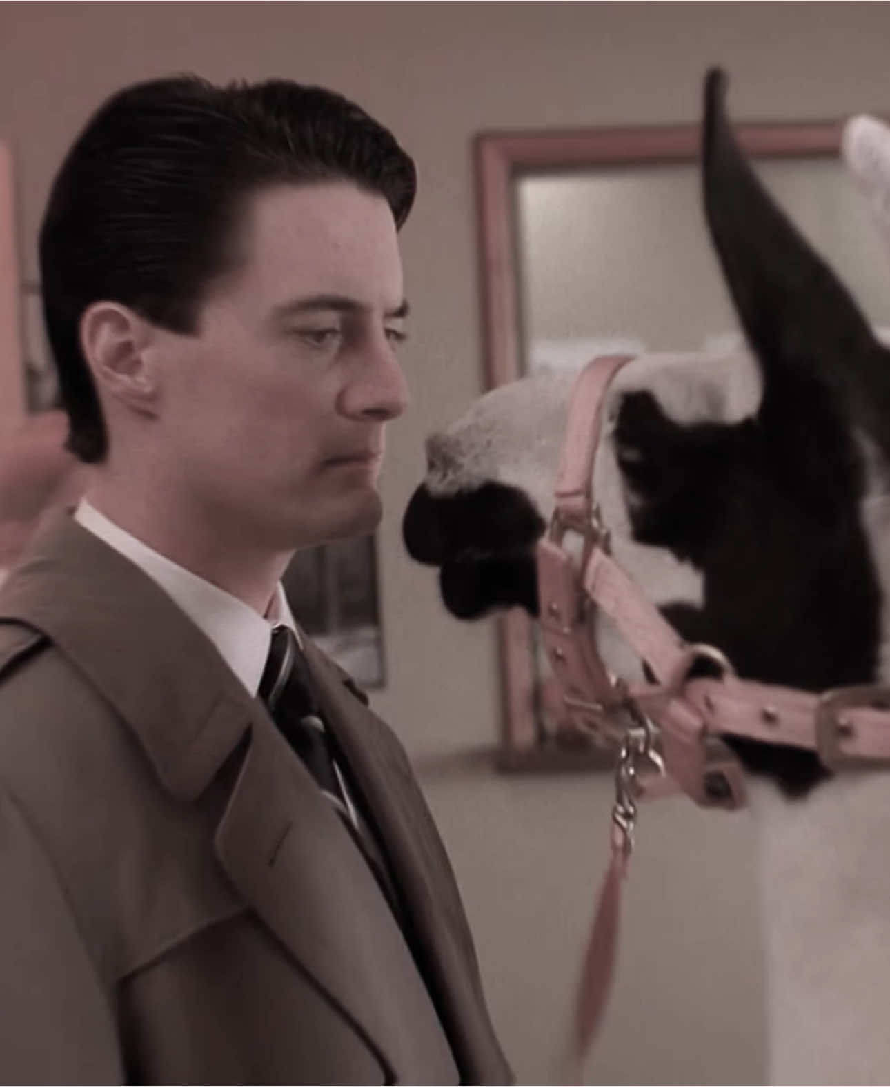 Had to post my pookie before tiktok gets banned😔 rm @eleo #dalecooper #dalecooperedit #kylemaclachlan #kylemaclachlanedit #twinpeaks #twinpeaksedit #davidlynch 