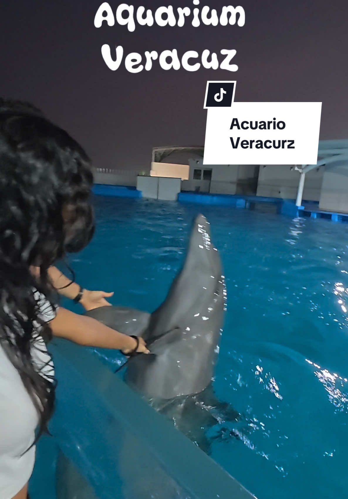 El recién remodelado Acuario de #Veracruz 🥰 ¿Ya fueron?