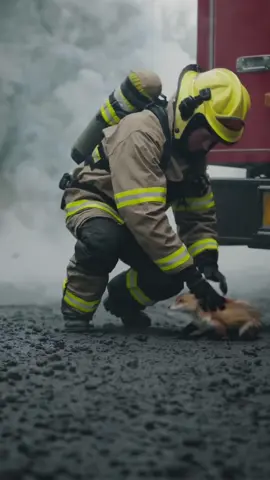 Out of the flames and into safety—firefighters saving lives, one at a time. 🐾🔥 #CaliforniaWildfires #WildlifeRescue #FirefighterHeroes #CourageUnderFire #SavingLives #HopeAmidFlames 