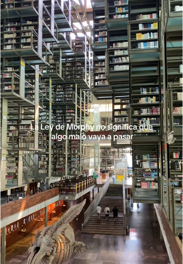 ✨ #interestelar #leydemurphy #bibliotecavasconcelos 