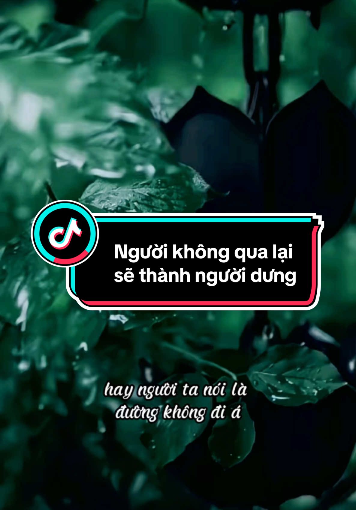 Đường không đi đường thành cỏ dại , người không qua lại sẽ thành người dưng #phatphapnhiemmau #radiotinhtam #tinhyeu #phat #phatphap #vanviet1994 