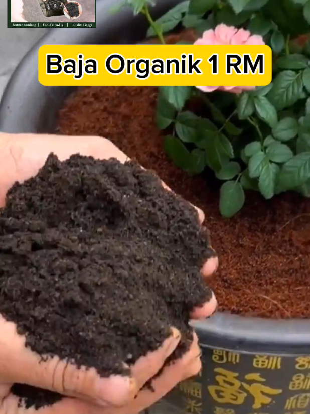 1KG Organic Compost Soil #baja #bajapokok #kebun #kebunsayur #makmak #kebuntepirumah #fyp #gengkebun #sayur #goviral #murah 