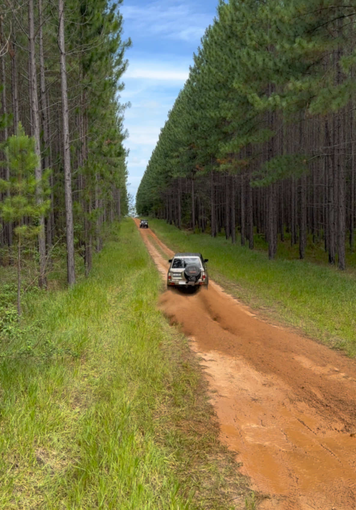 Shown up by @Ryan  (Private property, not glasshouse mountains) #Patrol #Nissanpatrol #td42 #tb48 #externalgate #wastegate #6cylinder 