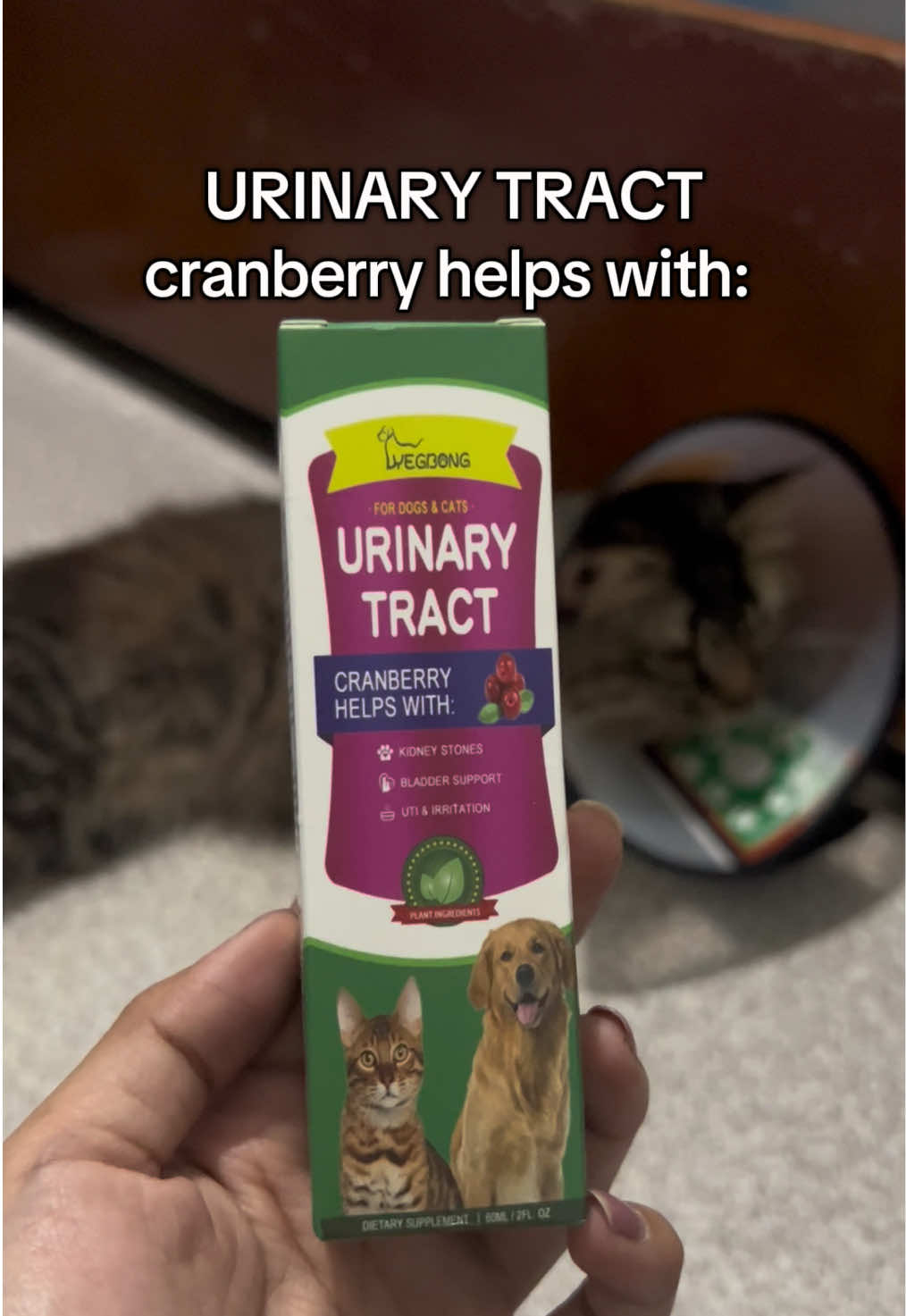 Urinary Tract Infection treatment for cats and dogs that you must have. 💯 #catsoftiktok #urinarytractinfection #fyyyyyyyyyyyyyyyy #fyyyyyyyyyyyyyyyyyyy 