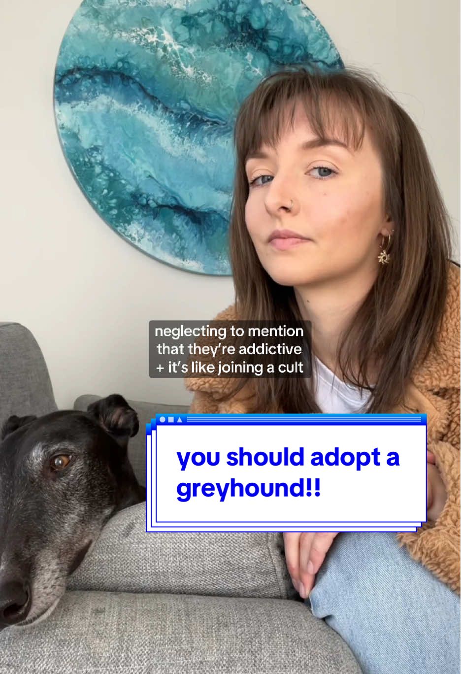 clearing out drafts heheh (also you should adopt a greyhound!) #greyhound #petadoption #rescuedog 