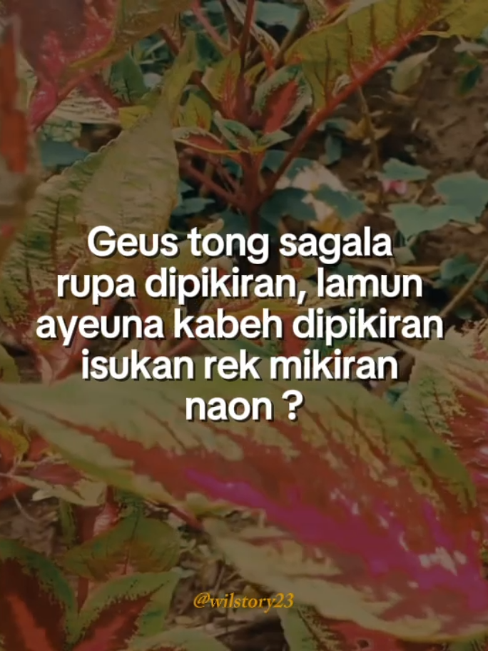 Ges tong sagala rupa di pikiran.#storysunda #katakatasunda #storykatakata #storywa  #CapCut 