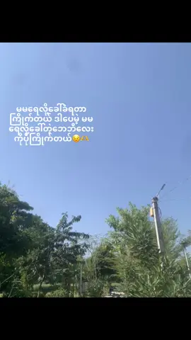Nww🙈#fypシ #crdစာသား #ရောက်ချင်တဲ့နေရာရောက်👌 