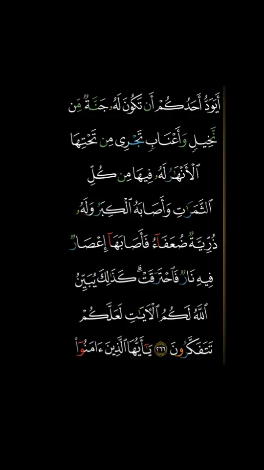 #سوره_البقره #ارح_سمعك_بالقران🎧♥️الكريم🥀 #صدقه_جاريه_لوالدي #صدقه_جاريه_لجميع_اموات_المسلمين 