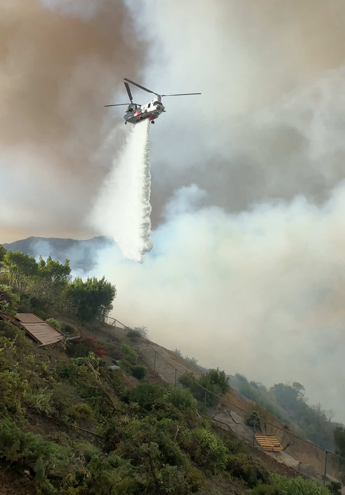 Palisades Fire making a run at Brentwood, California Jan 11. . . #palisadesfire #brentwood #californiawildfire #fyp #trending #viralvideo 