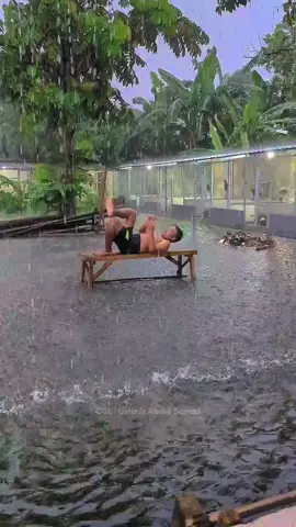 cara menikmati banjir di kandang 😁 #ayambangkoksuper #ayampakhoy #ayamplucker #ayamimport #fyp #CapCut 