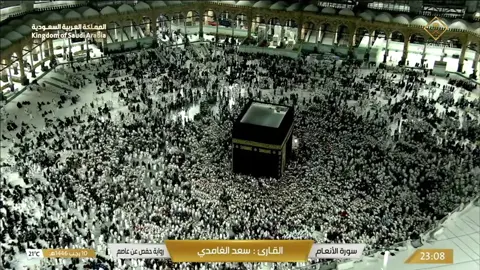ما تيسر من سورة الأنعام للشيخ سعد الغامدي #قناة_القرآن_الكريم #مكة_المكرمة  #القران #viral