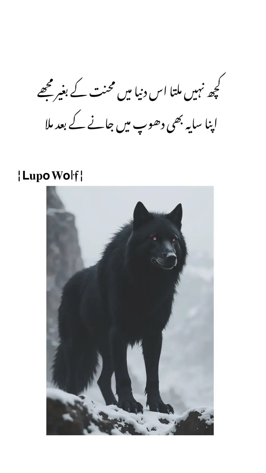 #foryou #wolf #wolfquotes #viralvideos #1million #urdupoetry #urduline #poetry #quotestory #wolfquotes #trick #foryou #trending🐺🗿 #wolfattitude #wolflover #kingkhan #howling #wolf #wolffamily #wolflife #welovetosmile #InspiredAwesomeLife #foryoupageofficial #foryou #kashmirgroups #islamabadian #007 #crew07 #viral #viralvideo # بھیڑیا بھیڑیا 🐺  #🔥 #🌹🌹 #watsappstatus #گو کبورو#pathan #freedom #pakistan #🔥 