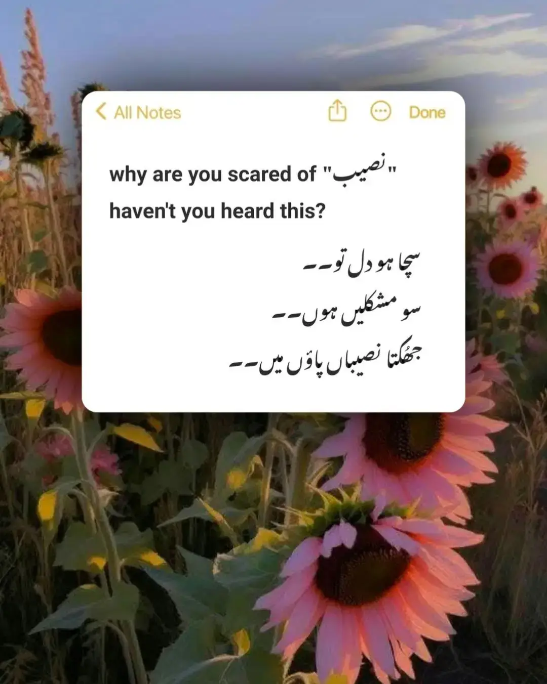 Whenever I face tough circumstances,  I motivate myself by whispering: جب میں نے کبھی کسی کا برا نہیں کیا تو اللہ میرے ساتھ کبھی برا نہیں کرے گا۔۔🩷🌻 #urduline #urdupoetry #writer #fypシ #foryou #shorts #fyp #urdulovepoetry #lucky__girl71 #viewsproblem #whatsappstatus #unfreezaccount #unfreezmyaccount #unfreezmyaccount #trending #potraitphotography #trending #potraitphotography #trendingvideo #sadsongs #lovestory #shairey #Writer 