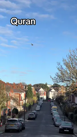 #london #sydenham #lewisham#freezingweather #-5#sunday #quran_alkarim #beautifullvoice #foryoupagee #tik_tok #viral 