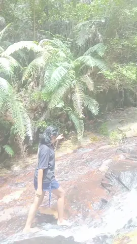 #CapCut 