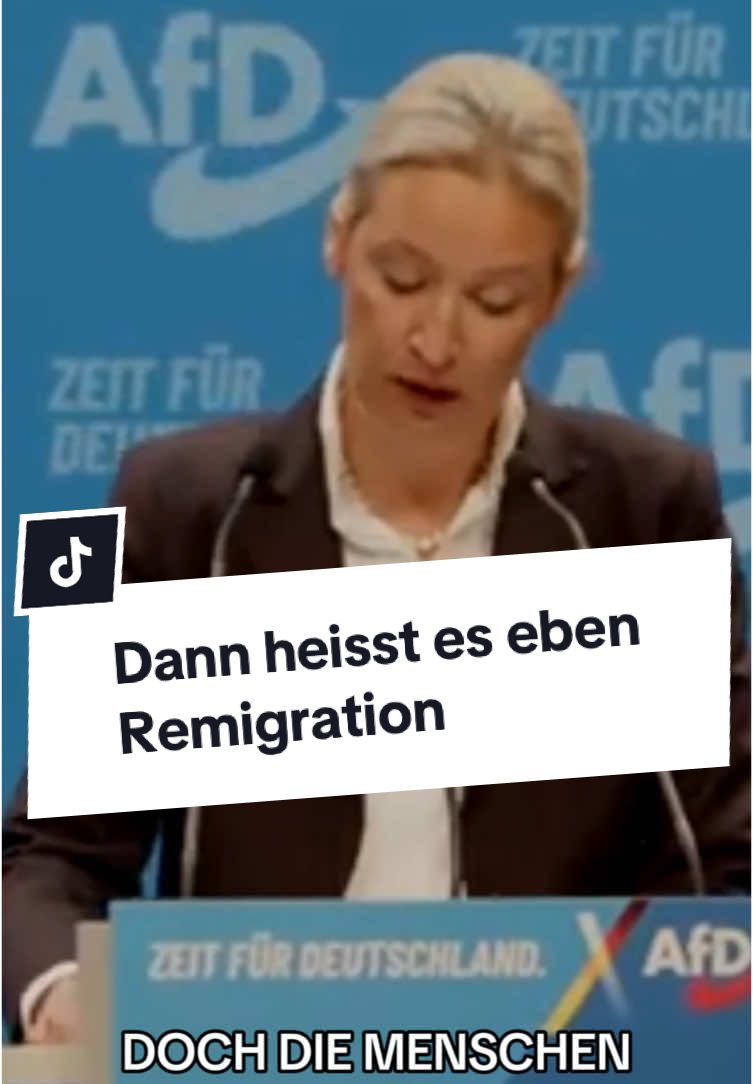 Alice Weidel hat den Plan 💙🇩🇪👌 Zu Ende gucken lohnt sich ! #news #deutschland #afd #wahrheit #team 