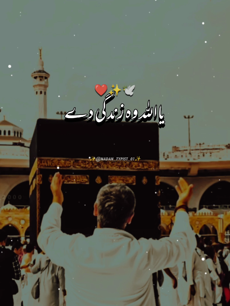 یااللہ وہ زندگی دے 💔😢𝕙𝕖𝕪 𝕪𝕖 𝕝𝕚𝕟𝕖🥺𝕪𝕒𝕣 𝕕𝕠𝕟'𝕥𝕦𝕟𝕕𝕖𝕣 𝕧𝕚𝕖𝕨𝕤 𝕞𝕪 𝕧𝕚𝕕𝕖𝕠🙏#islamic_video #newtrend  #islamic #urdupoetry #onlyforyoupage  #viralvideos #growaccount #fyp #tiktokteam #foryoupage #viral  #nadantypist_01 #nadantypist_01 