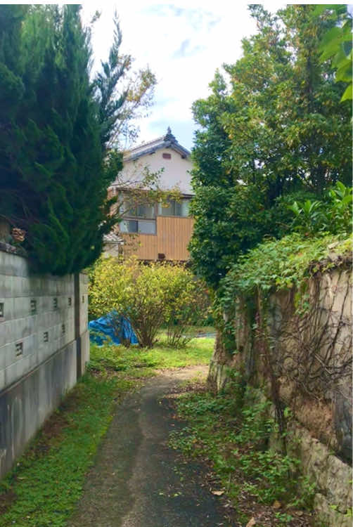 君は今そこにいるのかな。 #田舎の風景 #日本の風景 #japan #countryside #愛媛県 