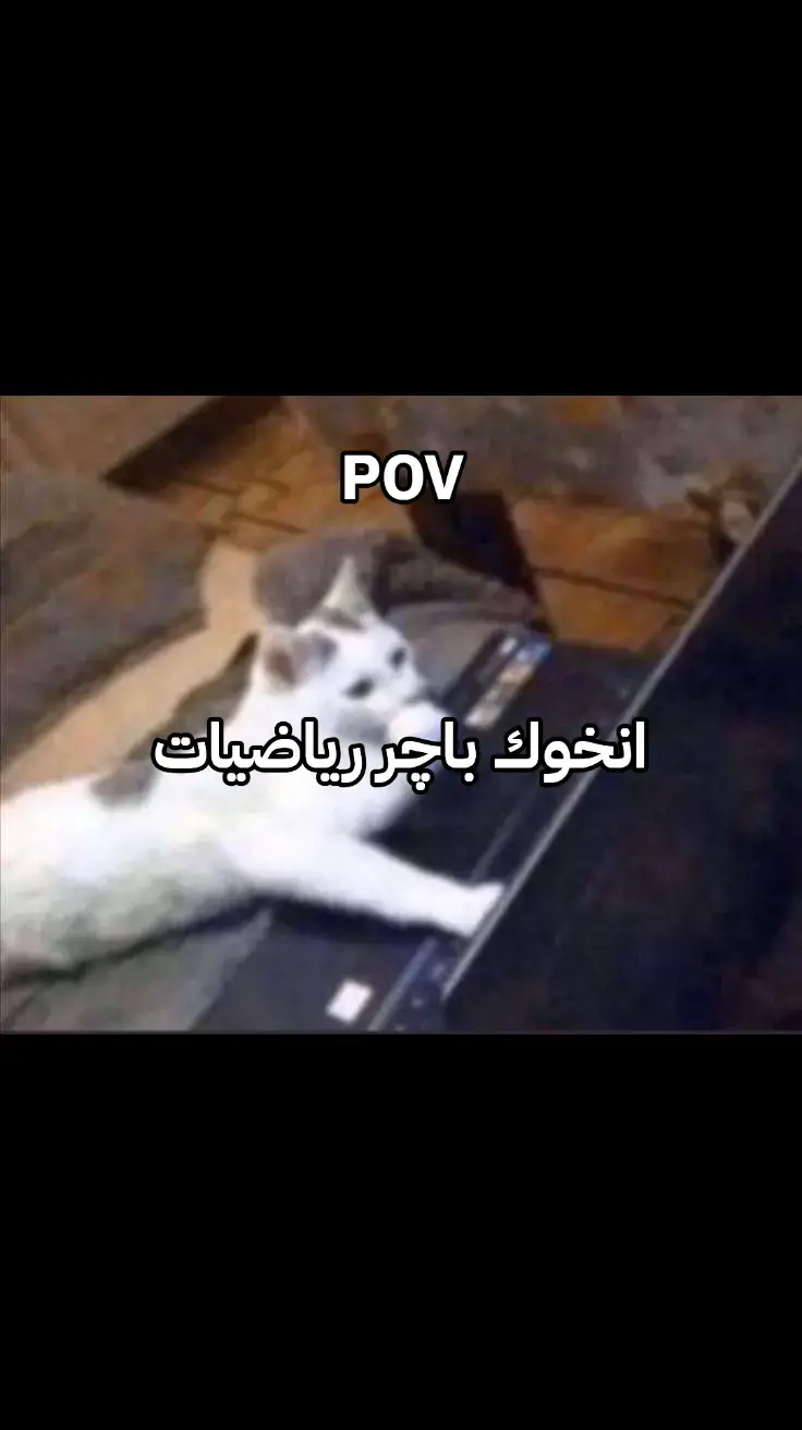 #viral #fyp ##CapCut #مالي_خلق_احط_هاشتاقات #الشعب_الصيني_ماله_حل😂😂 #تيم_كلوفر #الشعب_الصيني_ماله_حل😂😂 #مالي_خلق_احط_هاشتاقات #مالي_خلق_احط_هاشتاقات #الشعب_الصيني_ماله_حل😂😂 #رياضيات #رابع_علمي 