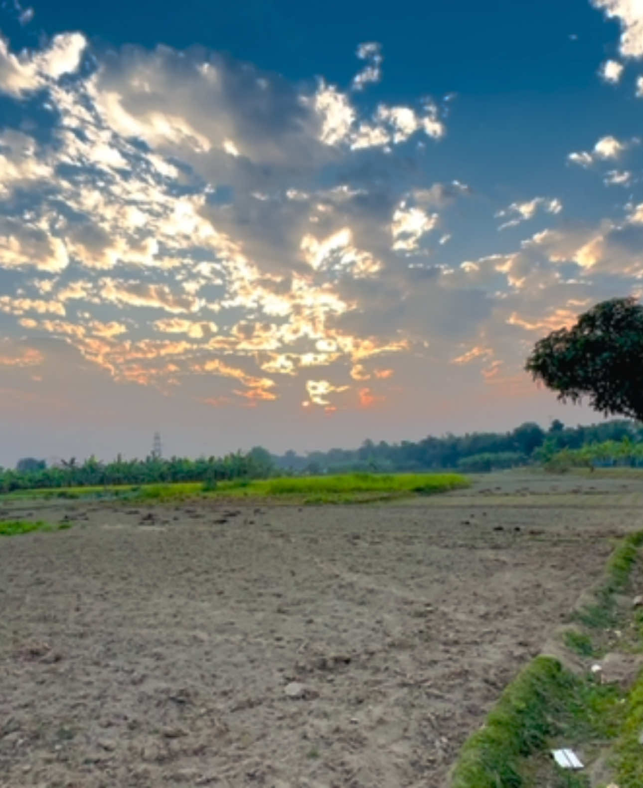 খানিকটা প্রকাশ করি বাকিটা ব্যক্তিগত, ততটুকুই চেনো আমায় যতটুকু প্রকাশিত 🙂🌸 #foryou #foryoupage #narsingdi_bd #শীতল_হাওয়া #গ্রামবাংলা #প্রকৃতির_সৌন্দর্য🥰 #fypシ゚viral #viral #আকাশ #প্রকৃতির #নরসিংদী #প্রকৃতি #কাপাসিয়া_গাজীপুর।🥰🥰 #narsingdi❤️ #গাজীপুর #মনোহরদী_নরসিংদী 