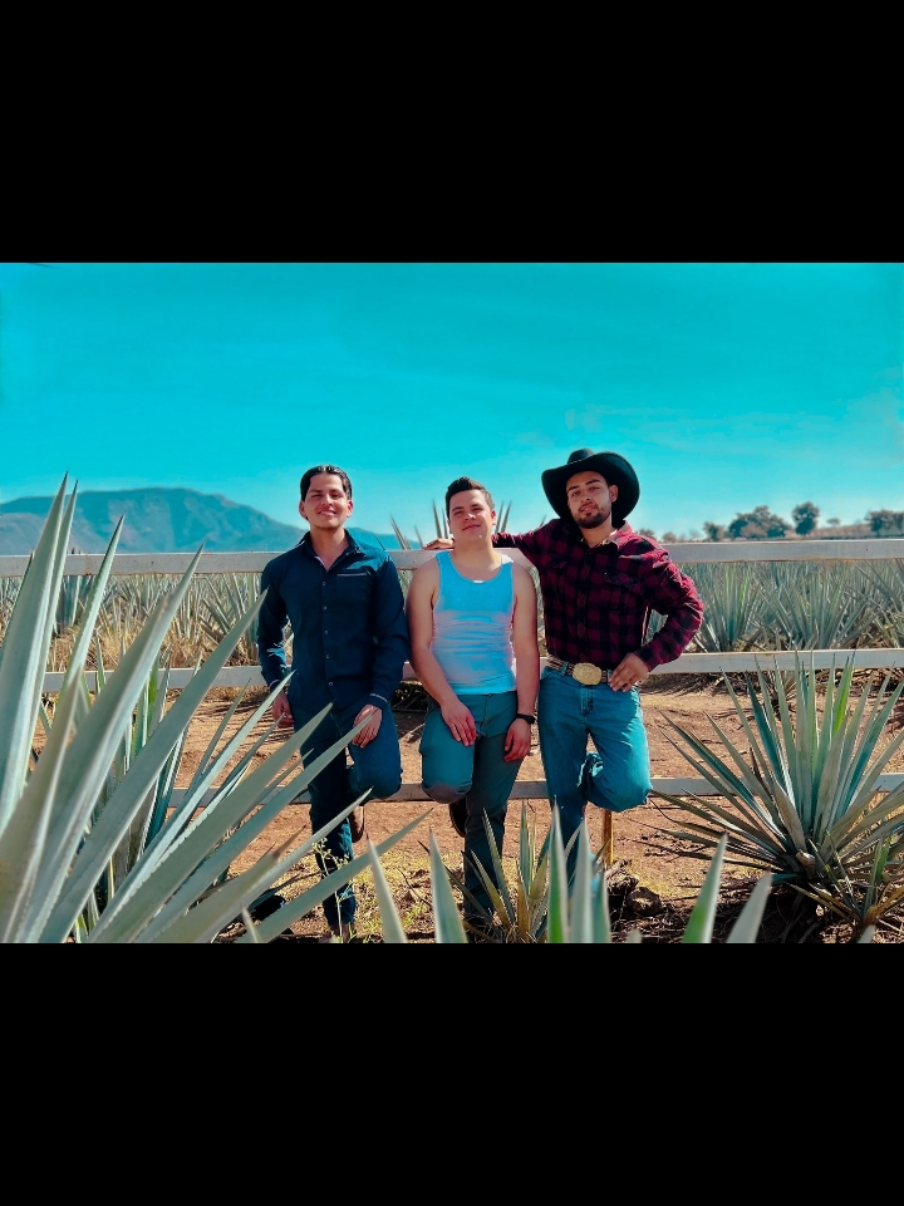 #memoriasdetequila #videoviral #v #v #vypシ 