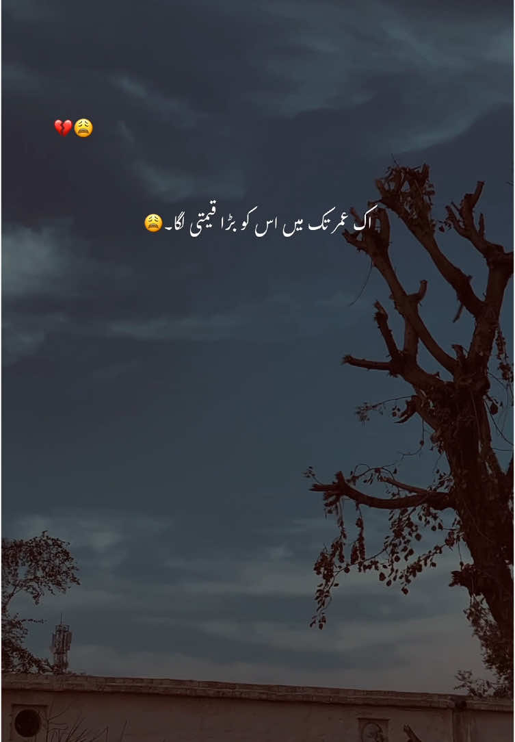 وہ دستیاب مجھ کو بڑی دیر تک رہا 🥹❤️‍🩹🥀#fyp #1millionaudition #foryoupage #account #grow #viral #urdu #aesthetic #poetry 